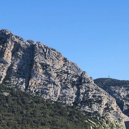 Domaine Mas Terra Bed and Breakfast Saint-Paul-de-Fenouillet Εξωτερικό φωτογραφία