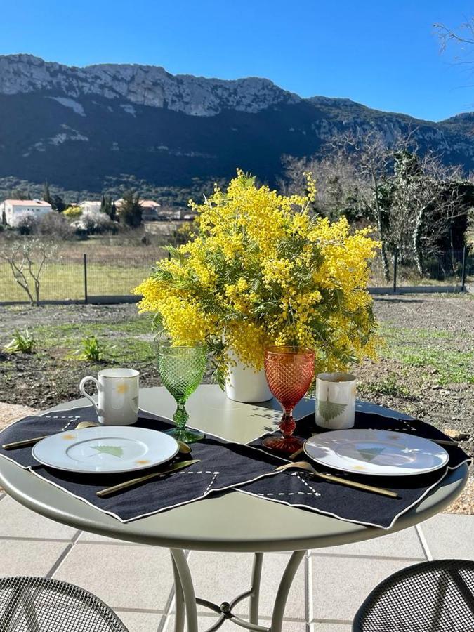 Domaine Mas Terra Bed and Breakfast Saint-Paul-de-Fenouillet Εξωτερικό φωτογραφία