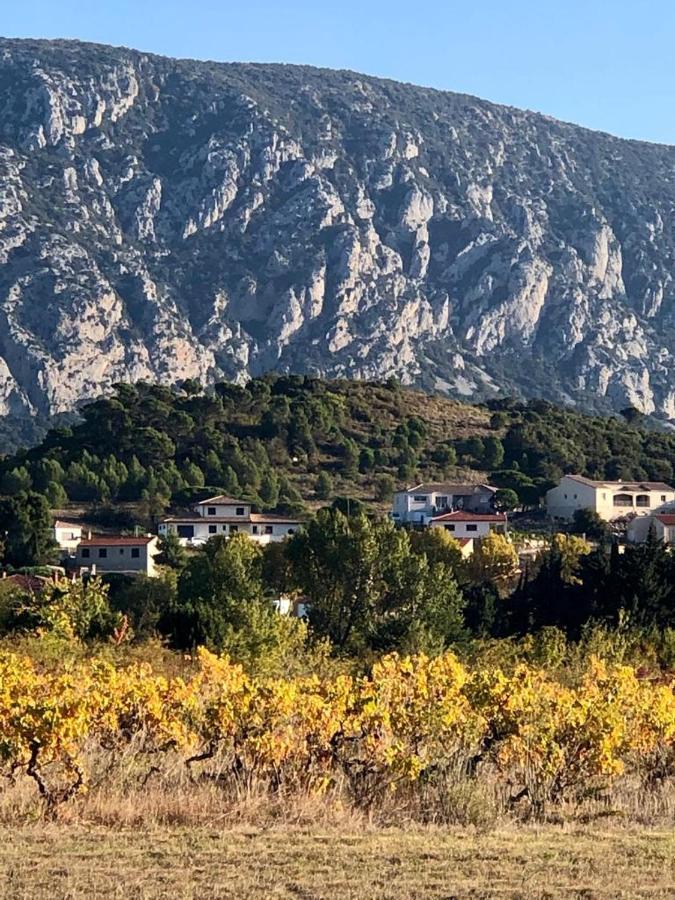 Domaine Mas Terra Bed and Breakfast Saint-Paul-de-Fenouillet Εξωτερικό φωτογραφία
