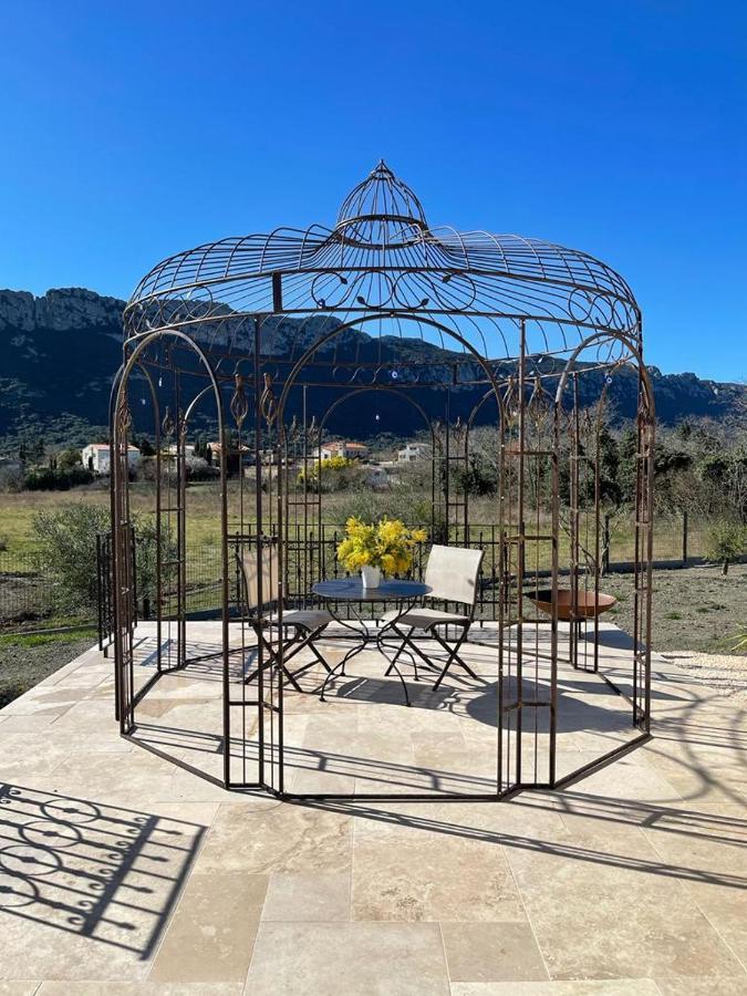 Domaine Mas Terra Bed and Breakfast Saint-Paul-de-Fenouillet Εξωτερικό φωτογραφία