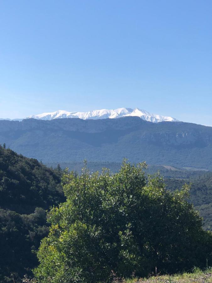 Domaine Mas Terra Bed and Breakfast Saint-Paul-de-Fenouillet Εξωτερικό φωτογραφία