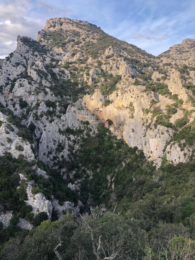 Domaine Mas Terra Bed and Breakfast Saint-Paul-de-Fenouillet Εξωτερικό φωτογραφία