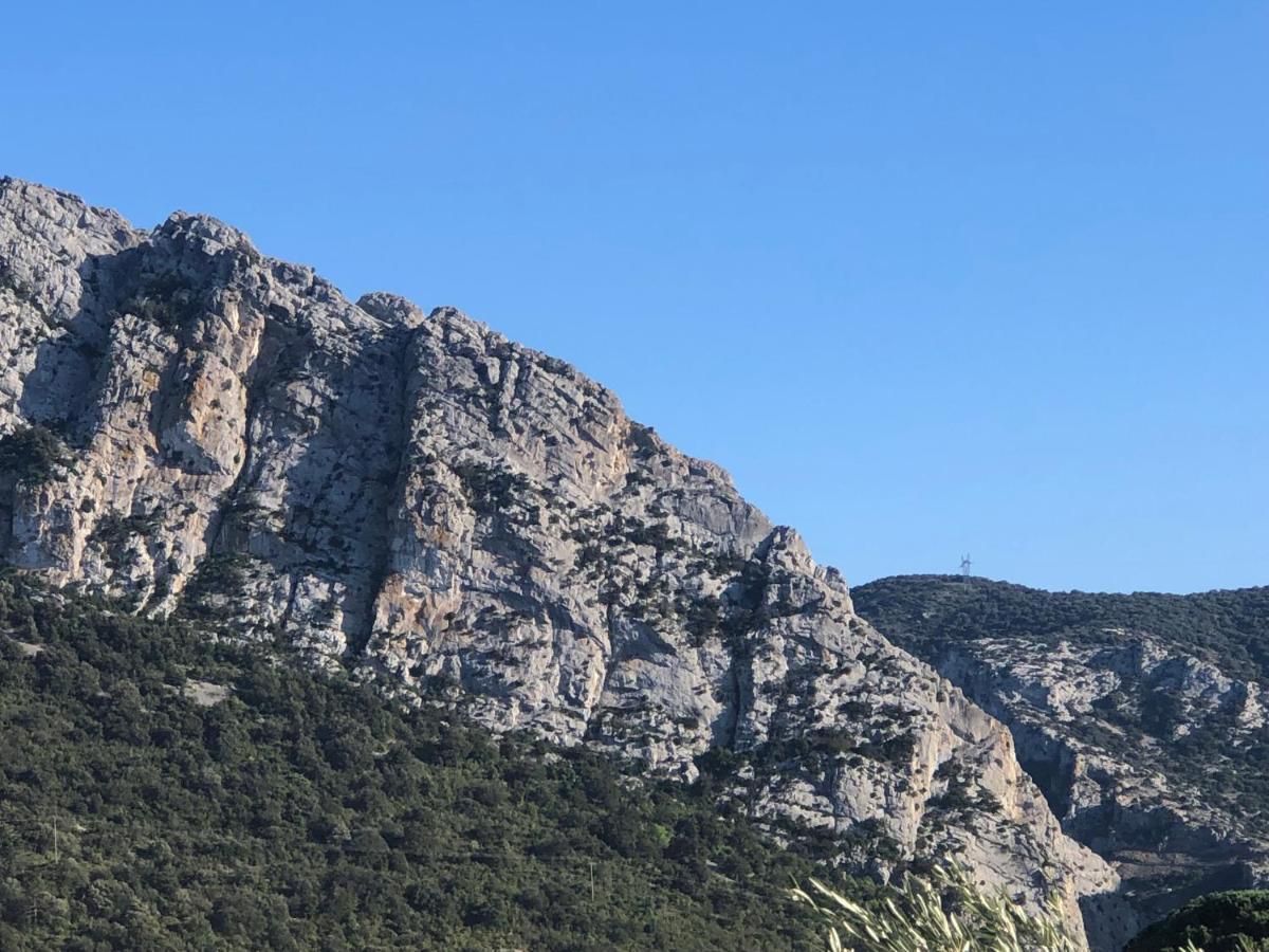 Domaine Mas Terra Bed and Breakfast Saint-Paul-de-Fenouillet Εξωτερικό φωτογραφία
