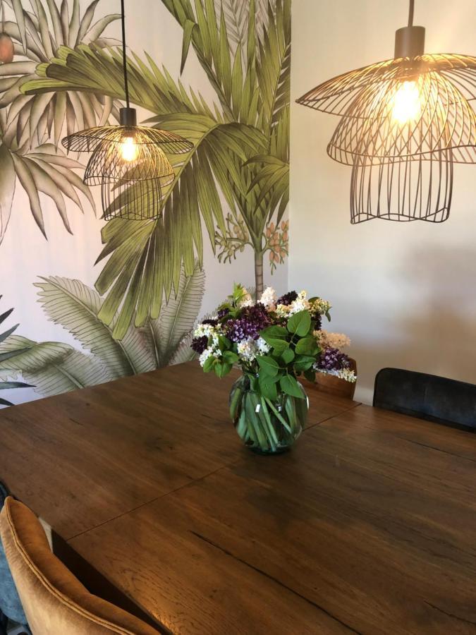 Domaine Mas Terra Bed and Breakfast Saint-Paul-de-Fenouillet Εξωτερικό φωτογραφία