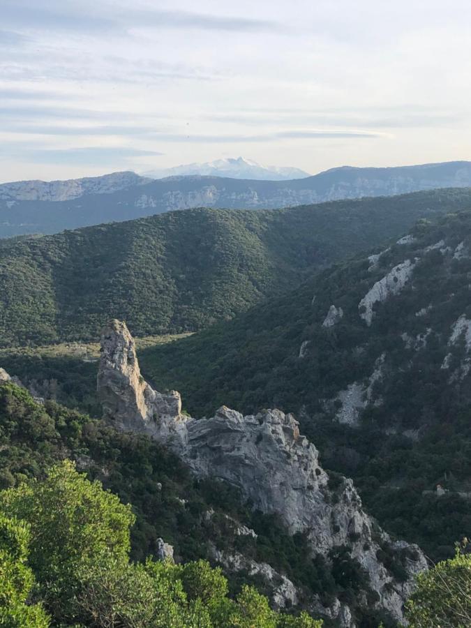 Domaine Mas Terra Bed and Breakfast Saint-Paul-de-Fenouillet Εξωτερικό φωτογραφία