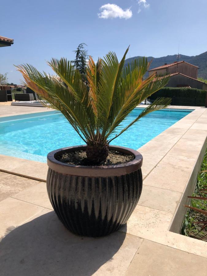 Domaine Mas Terra Bed and Breakfast Saint-Paul-de-Fenouillet Εξωτερικό φωτογραφία