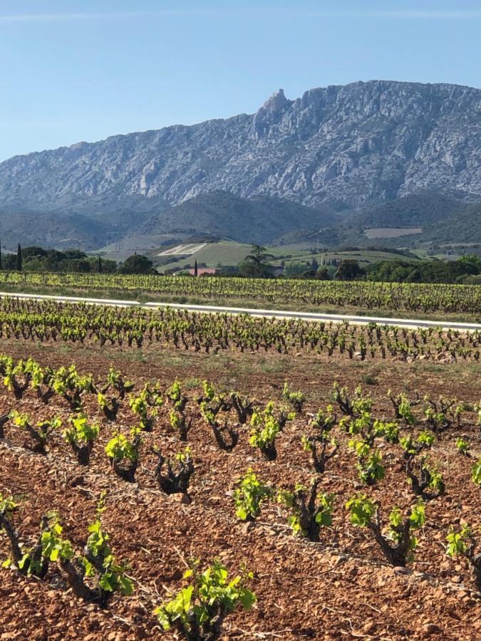 Domaine Mas Terra Bed and Breakfast Saint-Paul-de-Fenouillet Εξωτερικό φωτογραφία