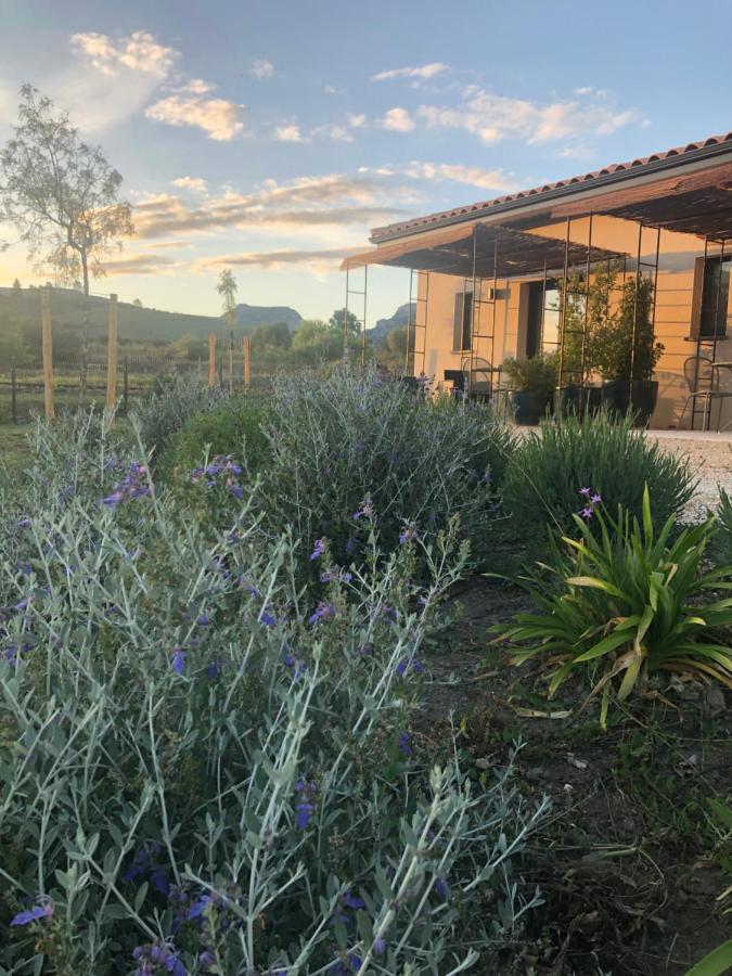 Domaine Mas Terra Bed and Breakfast Saint-Paul-de-Fenouillet Εξωτερικό φωτογραφία