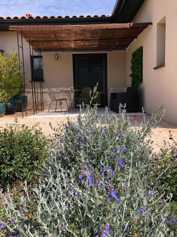 Domaine Mas Terra Bed and Breakfast Saint-Paul-de-Fenouillet Εξωτερικό φωτογραφία